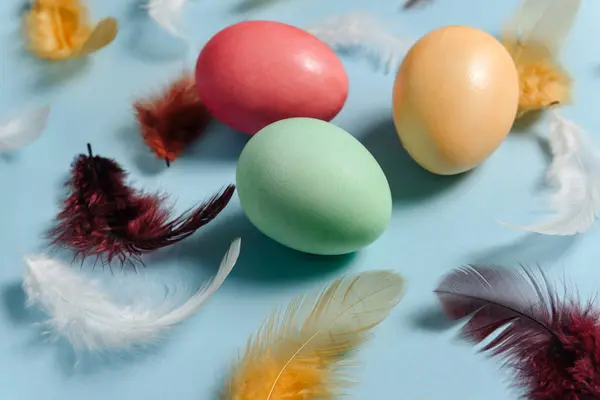 Easter eggs among feathers on a blue background.