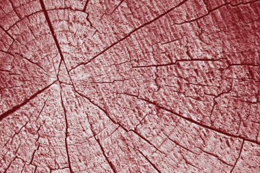 Tahta ağaç kütüğü arkaplanı