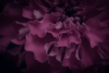 Çiçek soyut modern arka plan