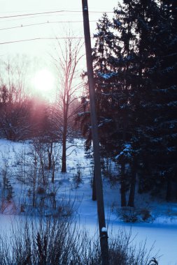 Karla kaplı ağaçlarla kaplı kış manzarası
