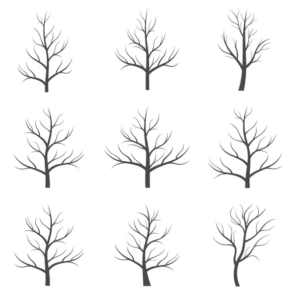 Tree Icon Set White Background — Stock Vector