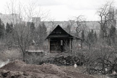Ormandaki eski ahşap ev 