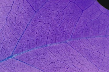 Yaprak soyut modern arkaplan