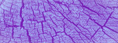 Tahta ağaç kütüğü arkaplanı 