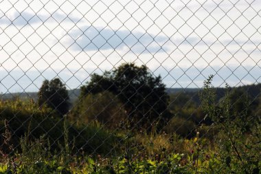 Demir çit ve doğa manzarası