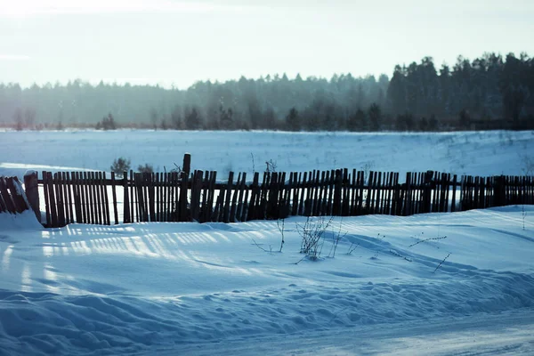 Paysage Hivernal Avec Arbres Enneigés Clôture — Photo