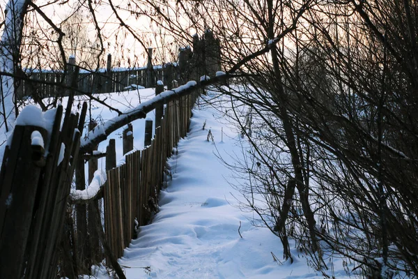 Vinterlandskap Med Snötäckta Träd Och Staket — Stockfoto