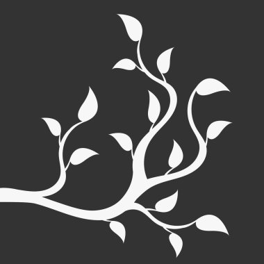 Siyah arkaplanda ağaç dalları