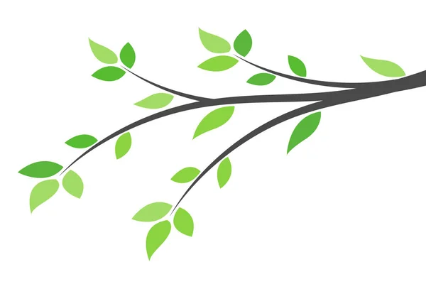 Branches Arbres Sur Fond Blanc — Image vectorielle