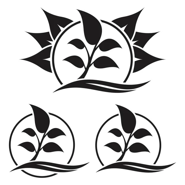 Icônes Florales Sur Fond Blanc — Image vectorielle