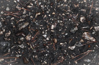 Taş zemin arkaplan dokusu