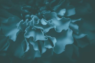 Çiçek soyut modern arka plan