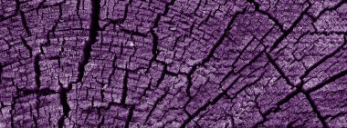 Tahta ağaç kütüğü arkaplanı 