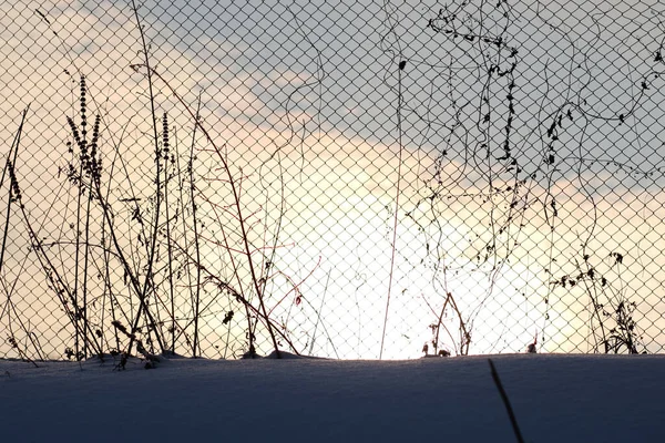 Χειμερινό Τοπίο Φράχτη Στο Ηλιοβασίλεμα — Φωτογραφία Αρχείου