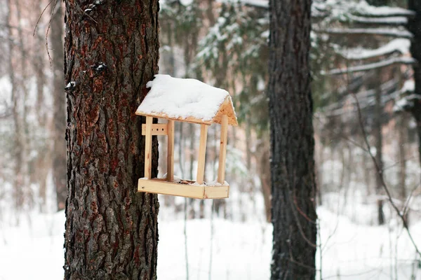 冬の森の木の上の木造バードハウス — ストック写真