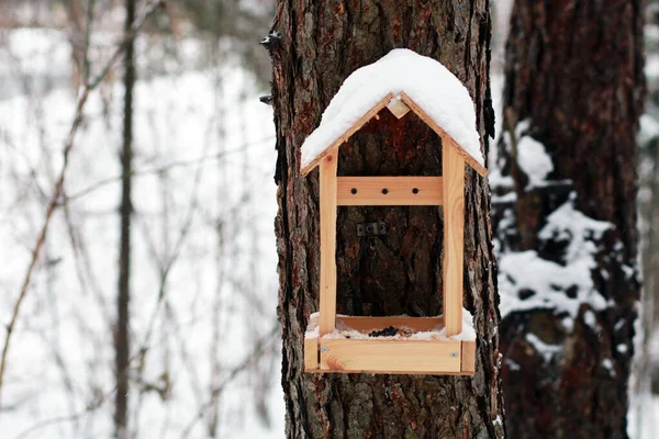 Dřevěná Ptačí Budka Stromě Zimním Lese — Stock fotografie