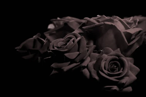 Красиві Червоні Троянди Чорному Тлі — стокове фото
