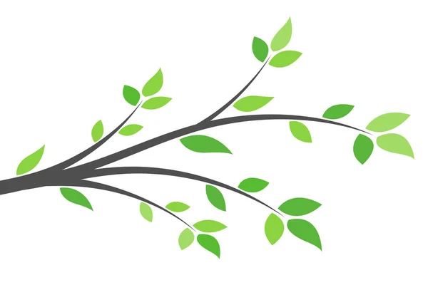 Branches Arbres Sur Fond Blanc — Image vectorielle