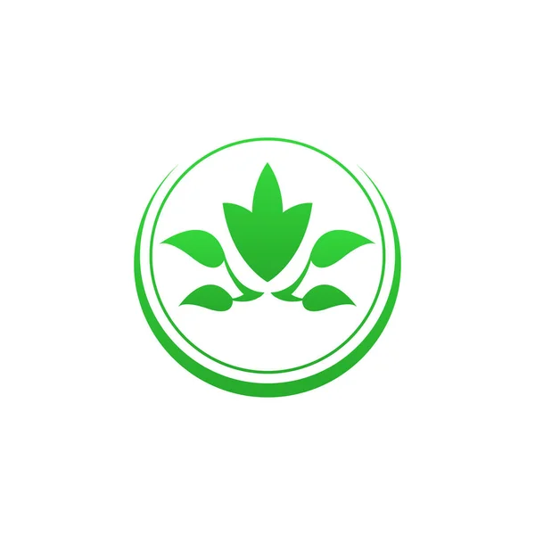 Obrázek Ikony Zeleného Stromu — Stockový vektor