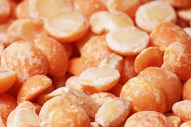 Kurutulmuş kayısılar yığını. Yakın çekim.