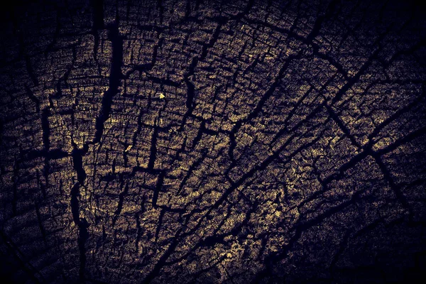 Wooden Tree Stump Background — Stock Photo, Image