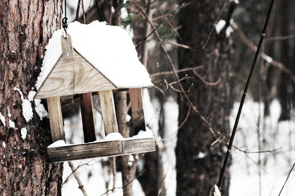 Houten Vogelhuisje Aan Boom Winterbos — Stockfoto