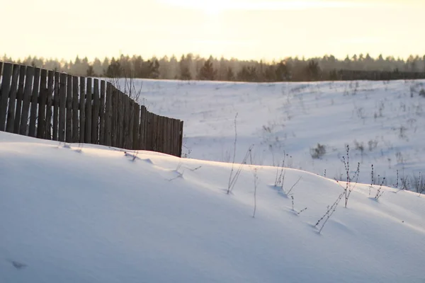 Vinterlandskap Med Snötäckta Träd Och Staket — Stockfoto