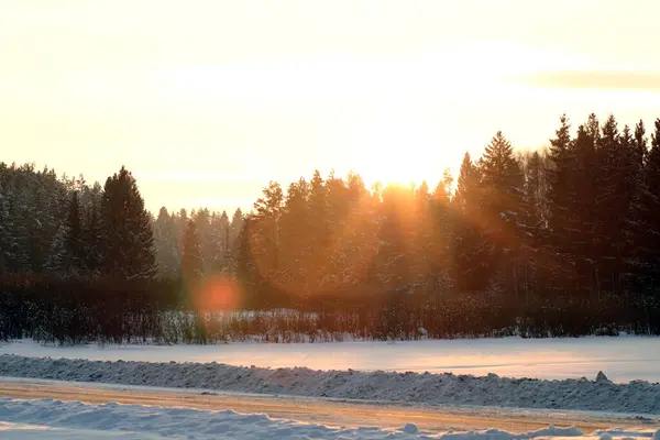 Sněžný Zimní Les Při Západu Slunce — Stock fotografie