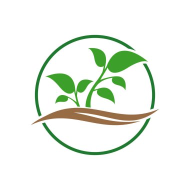 Beyaz arkaplanda ağaç simgesi