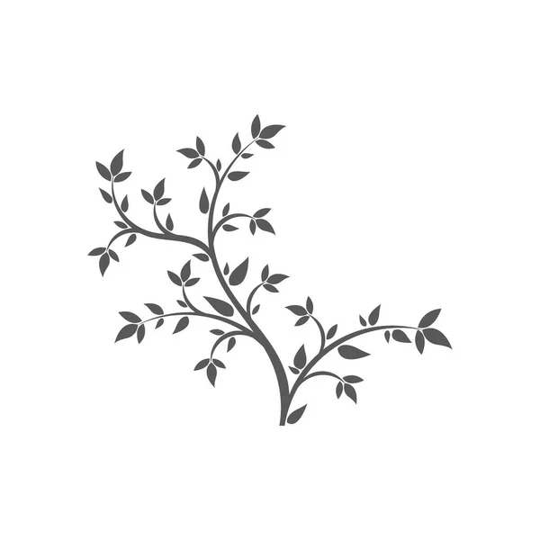 Florales Symbol Auf Weißem Hintergrund — Stockvektor