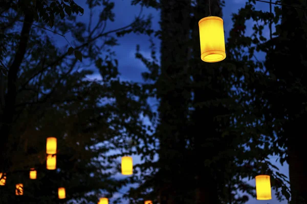 Gece ormanı aydınlığı