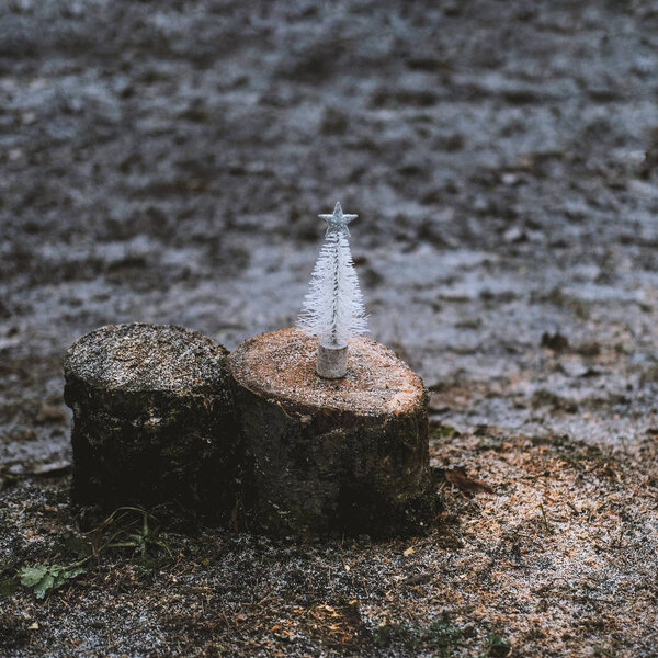 Белоснежная елка со звездой рядом со свежим туманом
