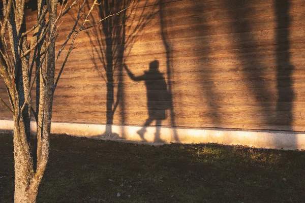 Woman shadow on wooden wall with tree