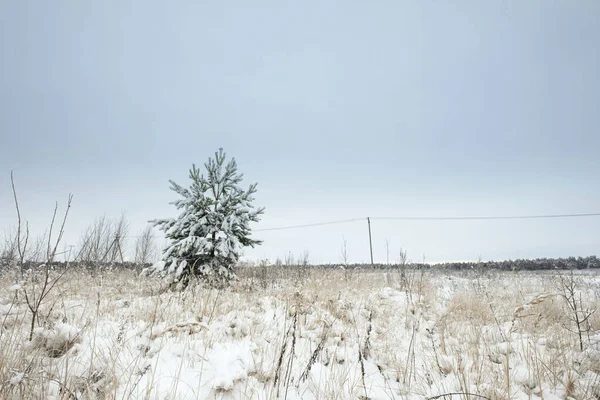 Голубое небо со снежным полем — стоковое фото