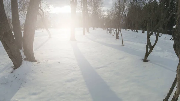 Blue sky with snow field