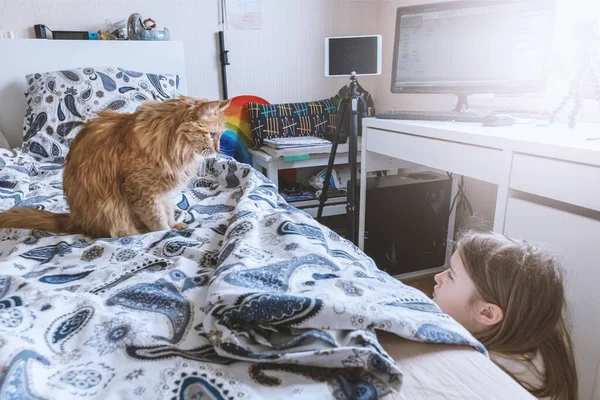 人間と動物の概念の間の友情. — ストック写真