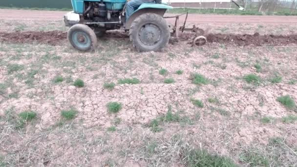 Modré pole pluh traktoru — Stock video