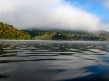 Nehir kıyısında Misty Morning