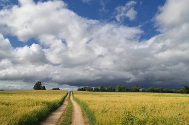 Yol alan ve bir fırtına önce bulutlu gökyüzü