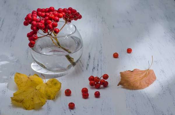 Trebord Det Liten Glassvase Med Gren Fjellaske Gule Høstblader Ligger – stockfoto