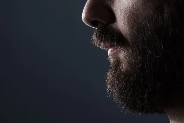 Beard Closure Up — стоковое фото