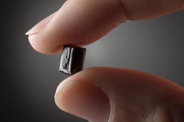 Meyan kökü parça tutan el