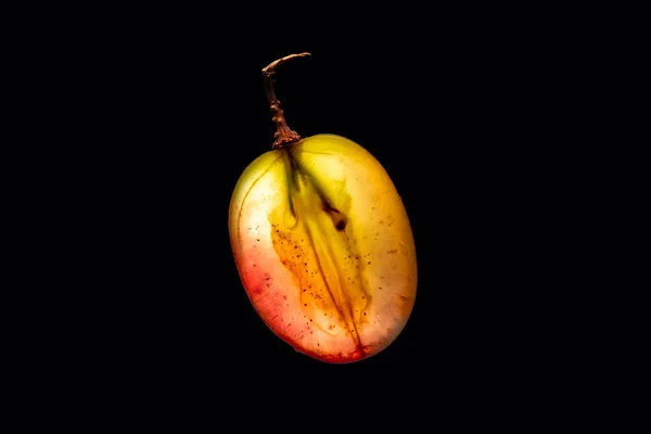 Backlit Grape Slice — Stock Photo, Image