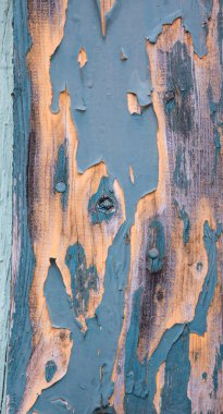 Eski yeşil turkuaz renkli ahşap