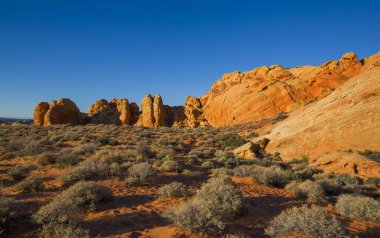Sarı ve kırmızı kayalar ve mavi gökyüzü Ateş Vadisi 'nde, yeşil çalılar önde, ABD