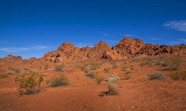 Ateş Vadisi 'nde kırmızı kaya oluşumları, mavi gökyüzü, önlerinde çalılar, ABD