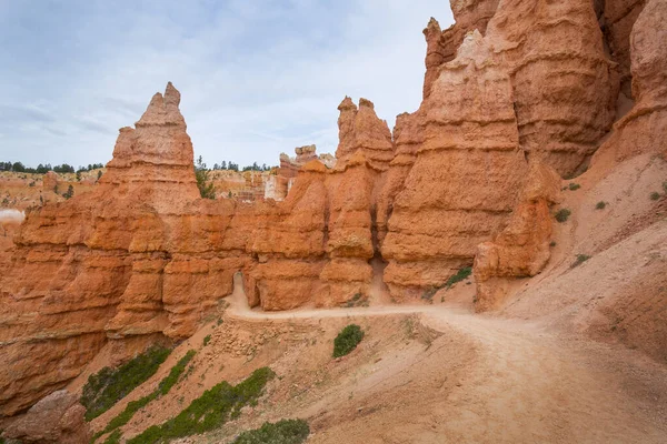 Tours Rocheuses Rouges Orange Appelées Hoodoo Dans Parc National Bryce — Photo