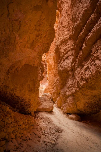 Wall Street Canyon Bryce Canyon National Park Sommaren Usa — Stockfoto