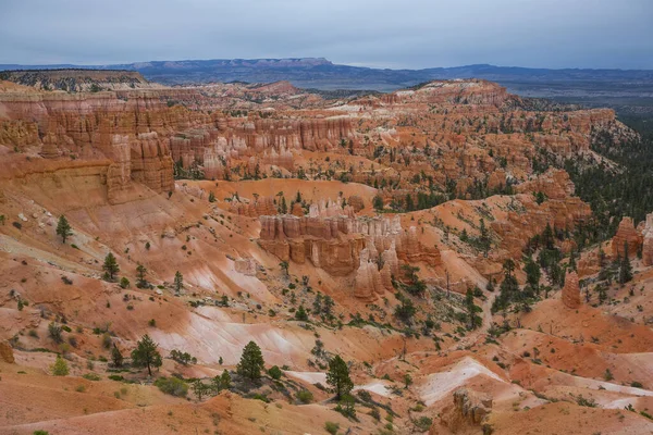 Torres Rochosas Vermelhas Laranja Chamadas Hoodoo Parque Nacional Bryce Canyon — Fotografia de Stock