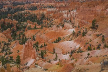Ulusal Park Bryce Kanyonu 'nda Hoodoo adı verilen kırmızı ve turuncu kaya kuleleri, yazın bulutlu bir günde, ABD